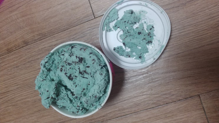 Bạn có thích kem bạc hà chocolate chip không?